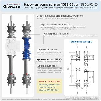Презентация насосной группы DN65 из нержавеющей стали - NGSS-65 без смесителя. Запрещено к публикации на сторонних ресурсах!