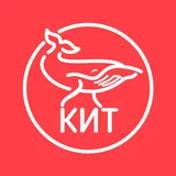 в Томске можно купить у КИТА